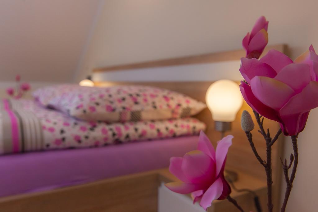 Apartamenty Galeria Jordanowska 외부 사진